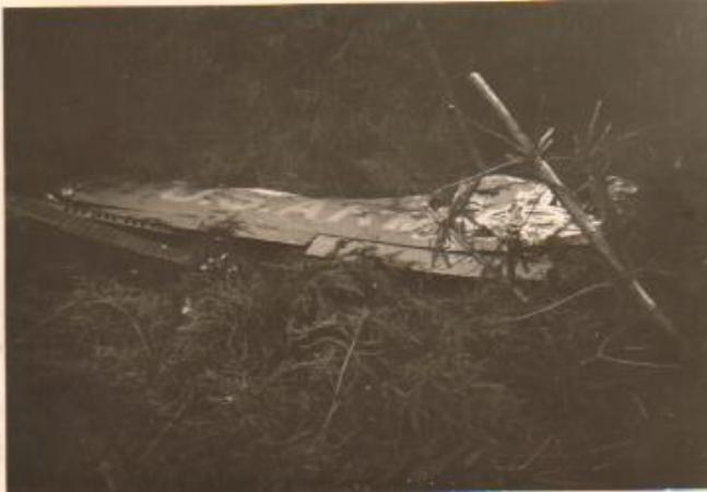Images/Crash site 5.jpg